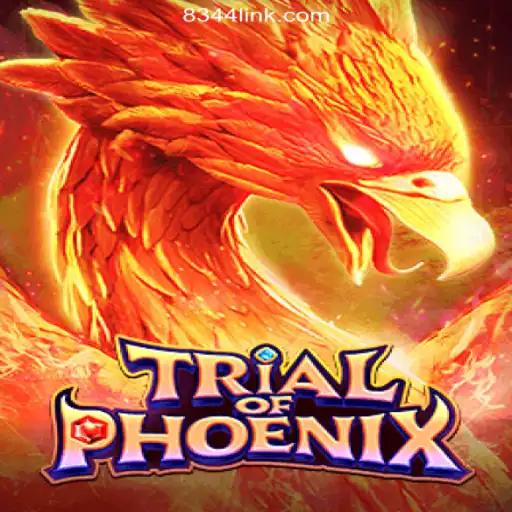 Trial of Phoenix: Exploring the 8344.COM Platform's Top Slot in Brazil